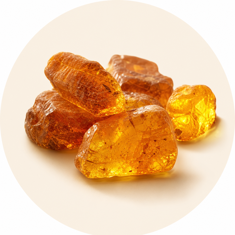 Ambre